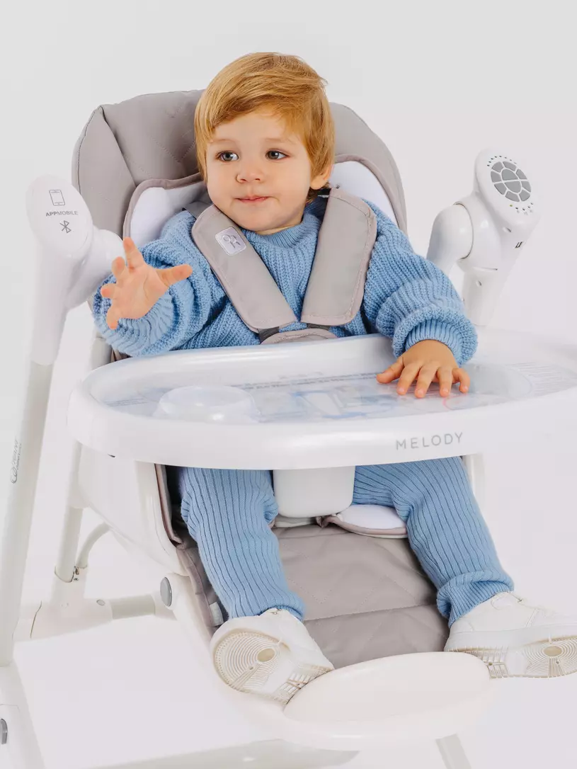 Стульчик для кормления Rant Melody mineral silver