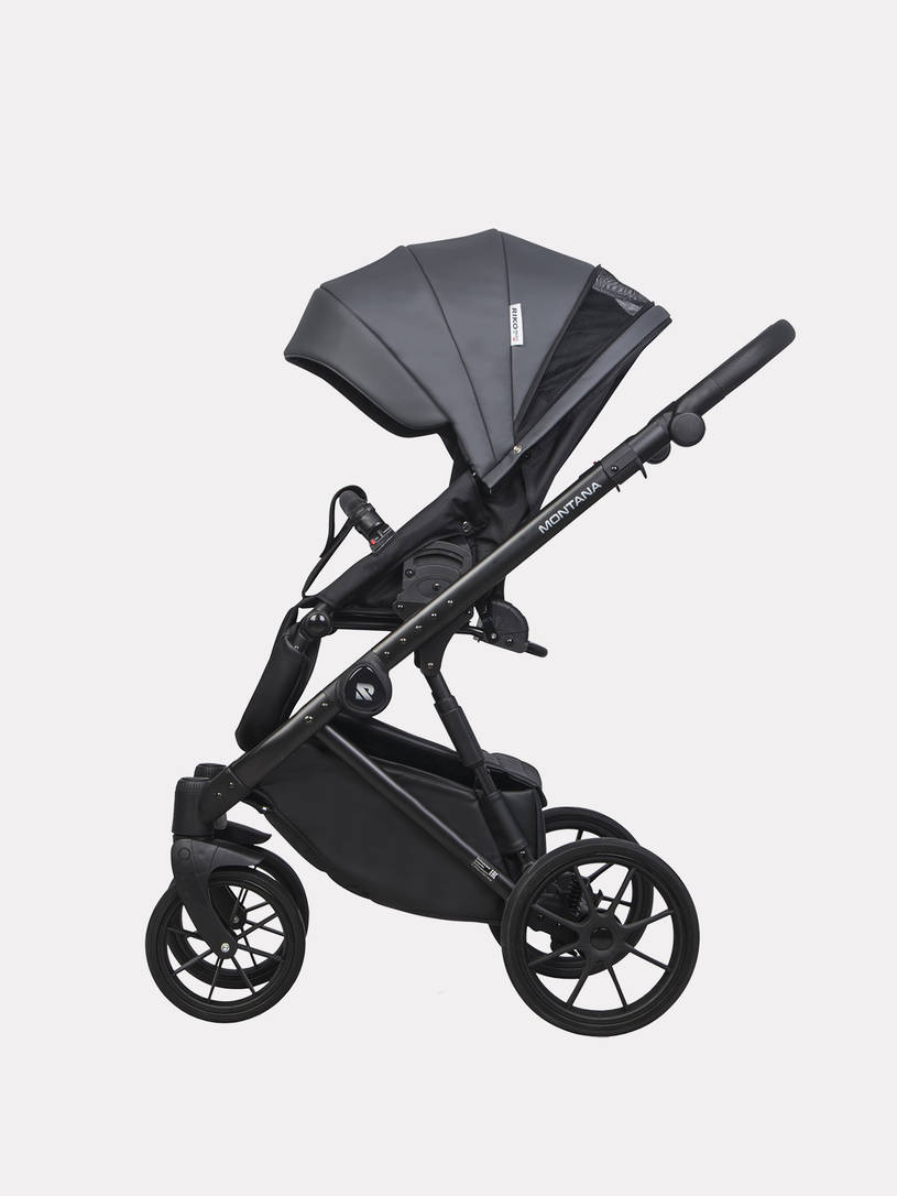 Коляска 2 в 1 Riko Basic Montana Ecco 24 Graphite