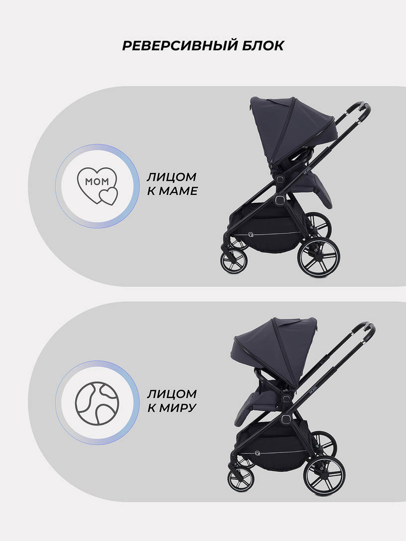 Коляска прогулочная Rant Moss 2025 Graphite