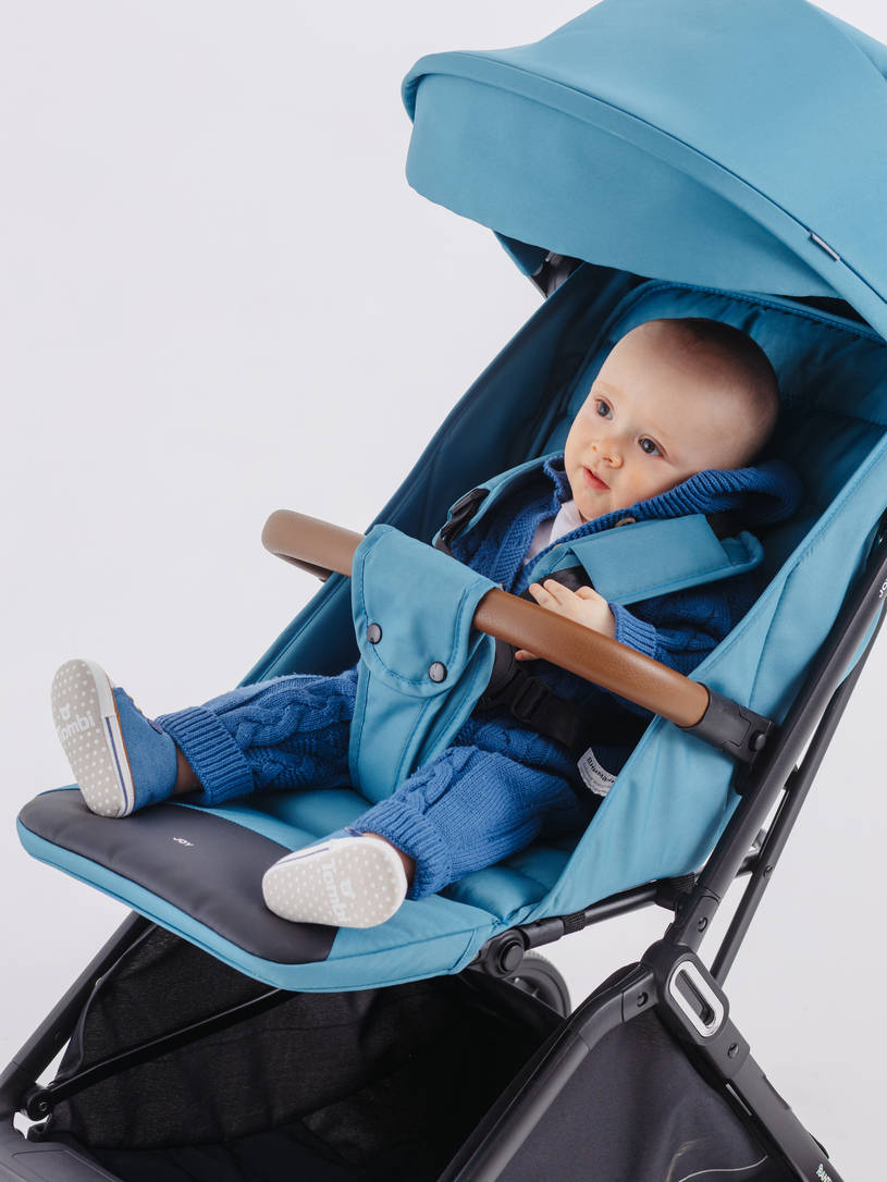 Коляска прогулочная Rant Basic Joy Blue