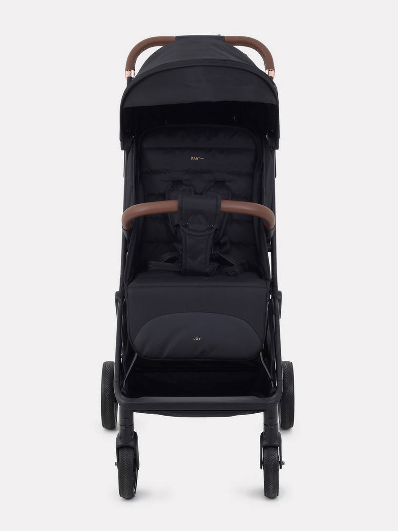 Коляска прогулочная Rant Basic Joy 2025 Gold Black