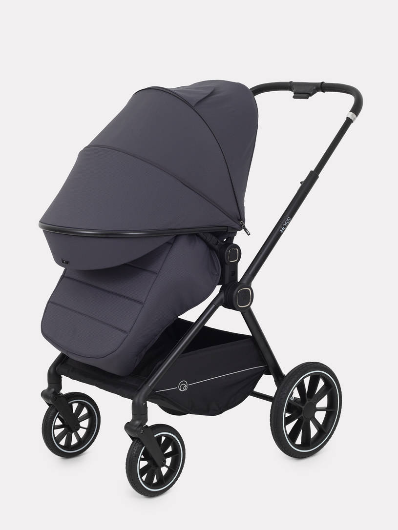 Коляска 2 в 1 Rant Moss 2025 Graphite
