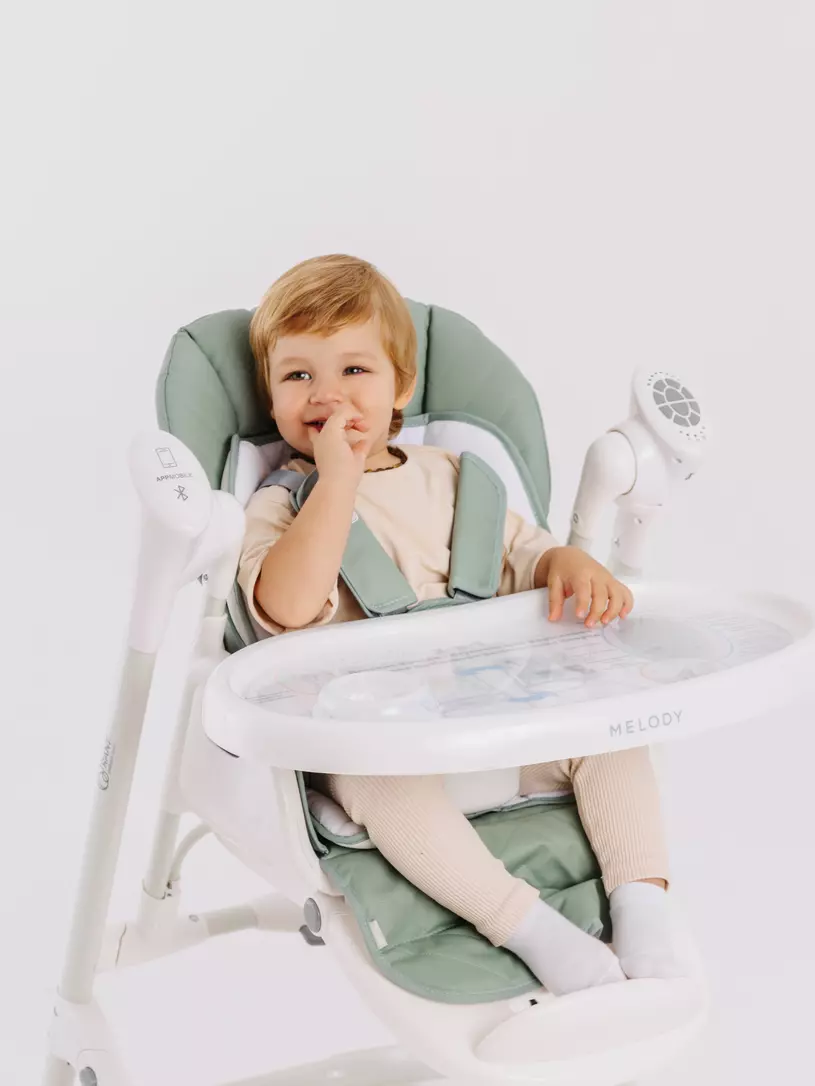 Стульчик для кормления Rant Melody ocean green