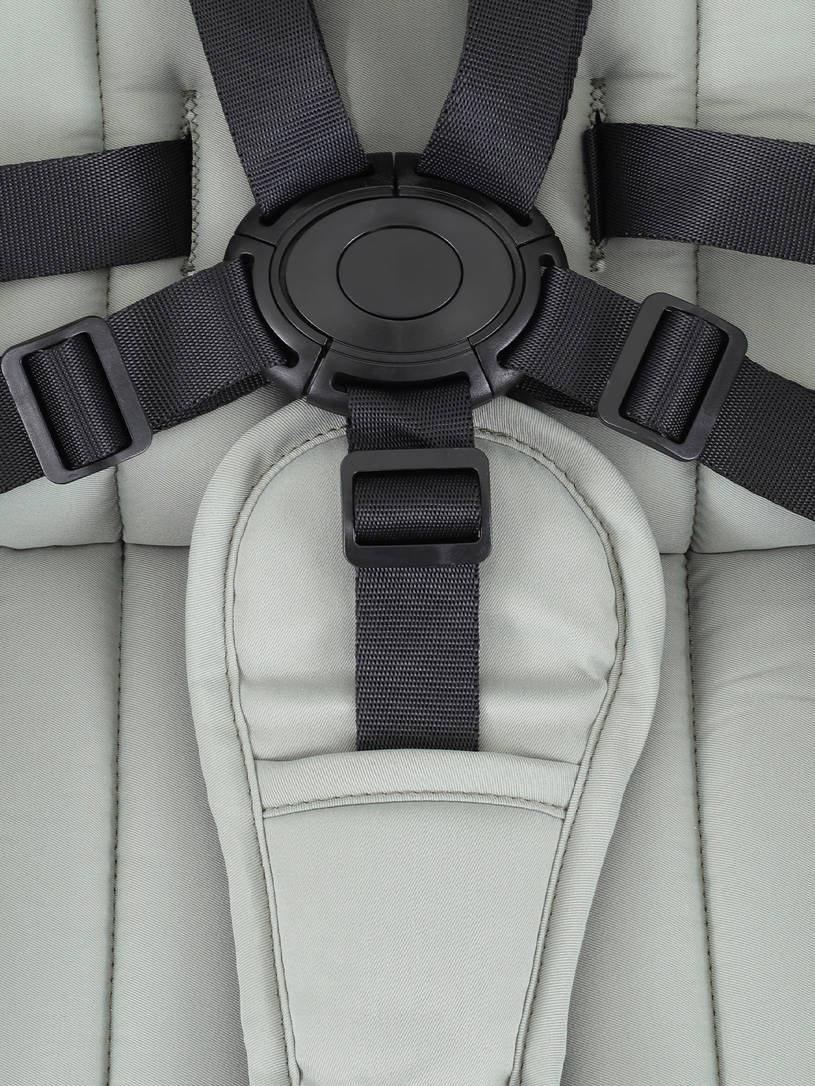 Коляска 2 в 1 Rant Teo Sage