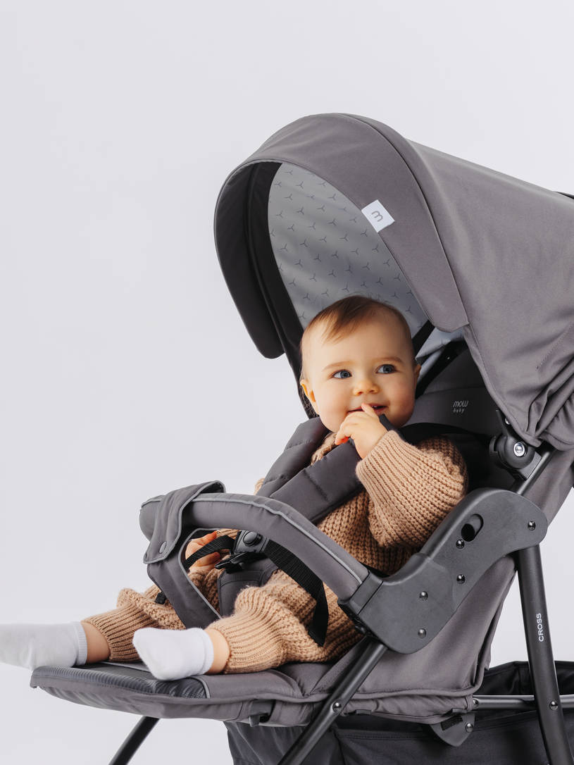 Коляска прогулочная Mowbaby Cross 2024 carbon