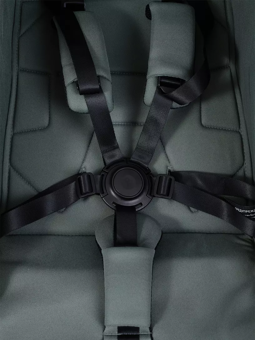 Коляска прогулочная Rant Avion Сarbon Olive