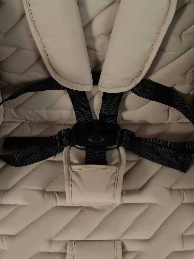 Коляска прогулочная Rant Basic Alpine 2026 Beige