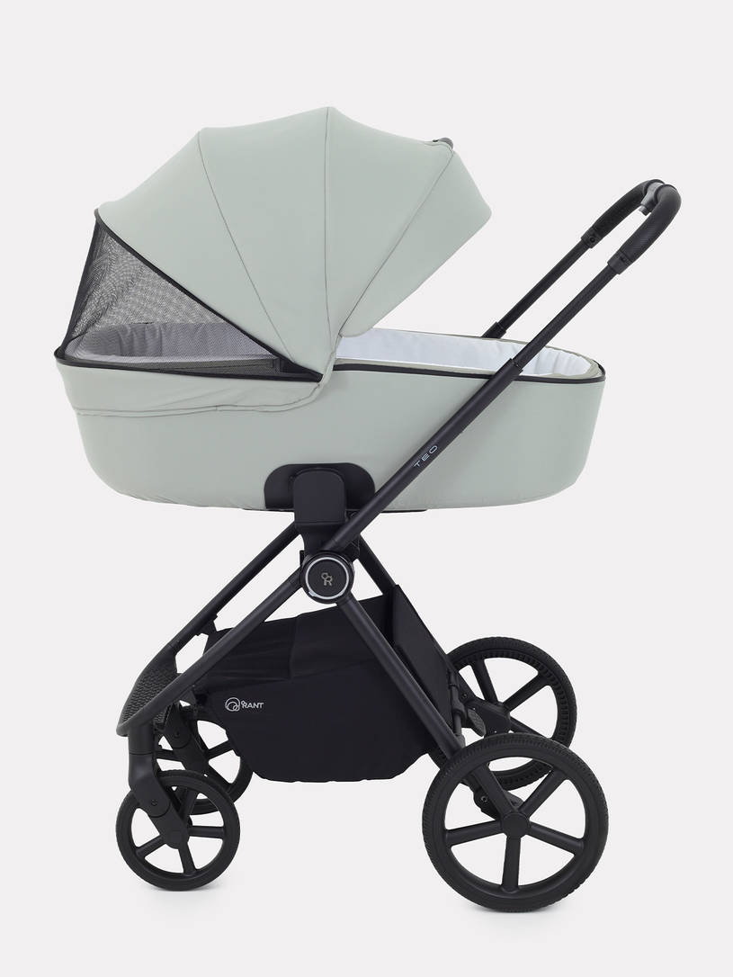 Коляска 2 в 1 Rant Teo Sage