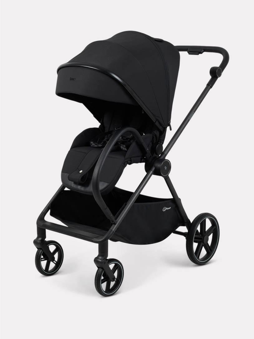 Коляска прогулочная Rant Nero Carbon Black