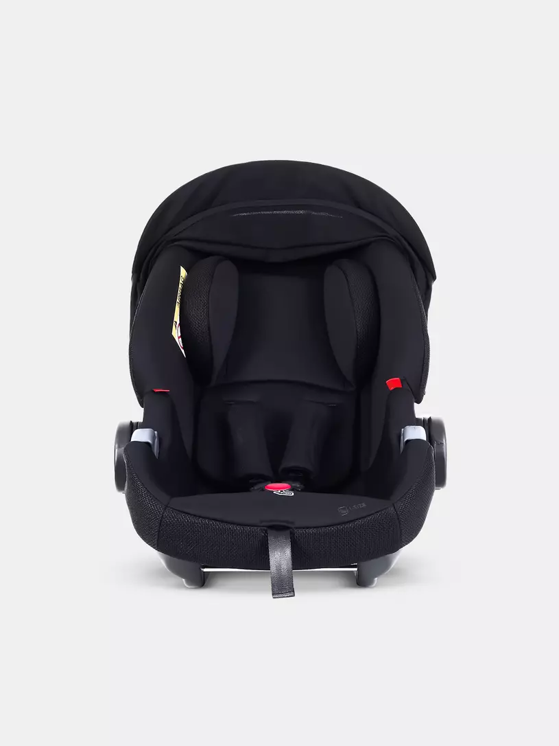 Автокресло Rant Carry Pro (40-87 см) Black
