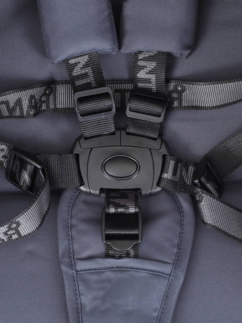 Коляска прогулочная Rant Basic Kira Coral