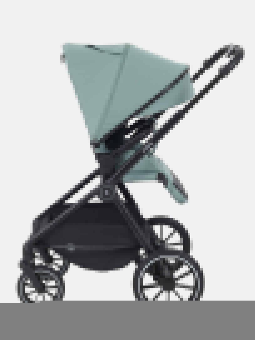 Коляска 2 в 1 Rant Moss Classic grey