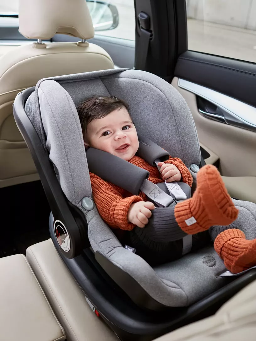 Автокресло Rant Carry Active Line 0+ (0-13 кг) Grey