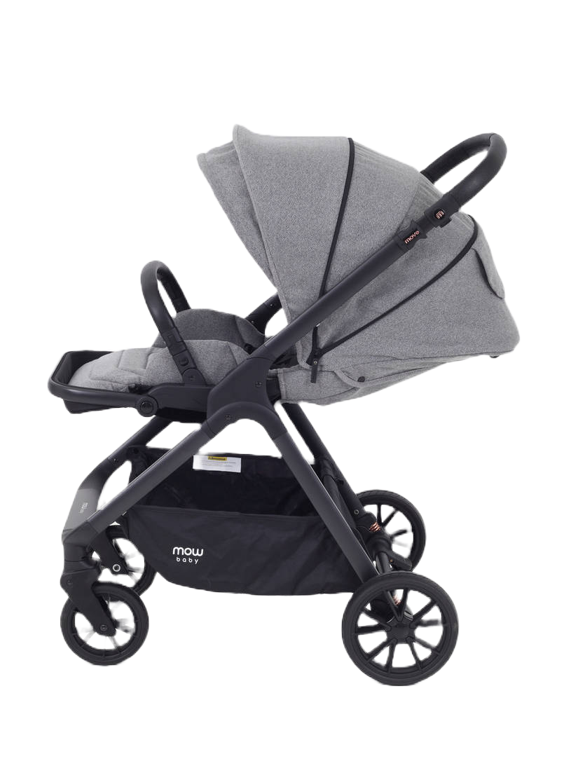 Коляска 2 в 1 MOWBaby MOVE MB401 Silver