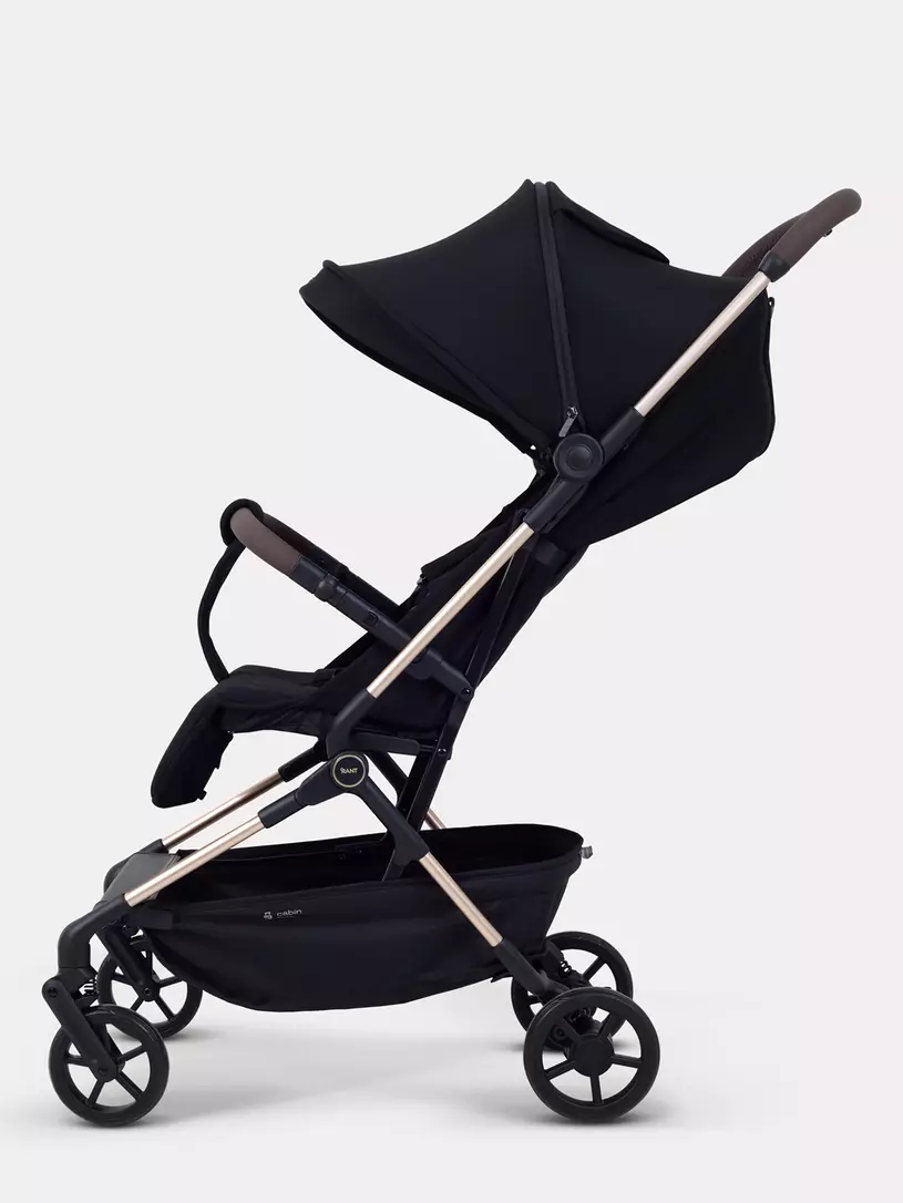 Коляска прогулочная Rant Avion Black