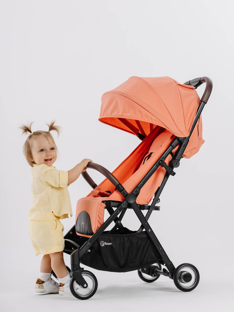 Коляска прогулочная Rant Action Cloud pink