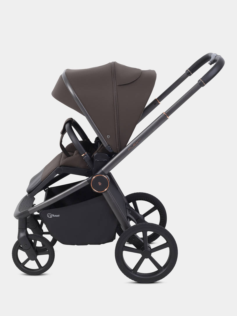 Коляска прогулочная Rant Flex Color Shine brown