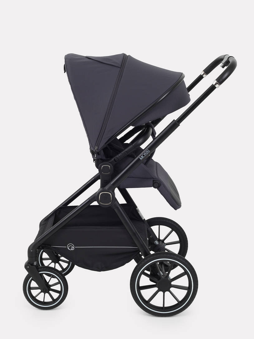 Коляска 2 в 1 Rant Moss 2025 Graphite
