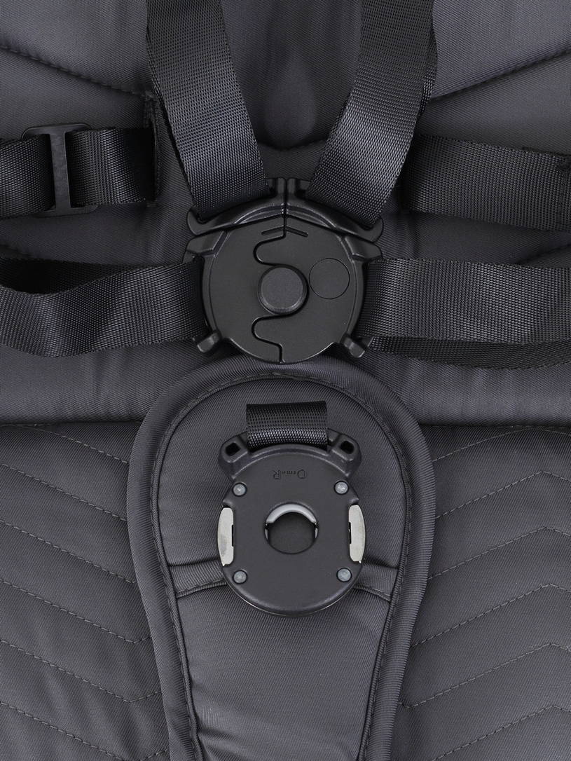 Коляска прогулочная Rant Flex Pro 2023 RA099 Graphite