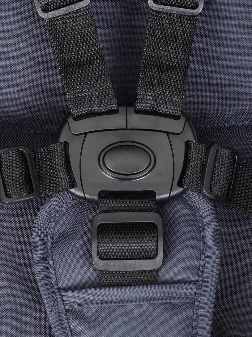 Коляска прогулочная Rant Basic Alpine Eva Coral