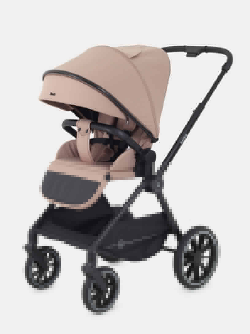 Коляска 2 в 1 Rant Moss Midnight black