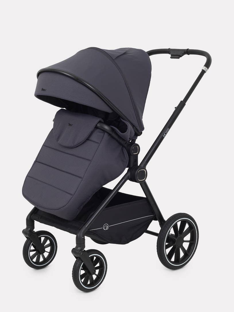Коляска 2 в 1 Rant Moss 2025 Graphite