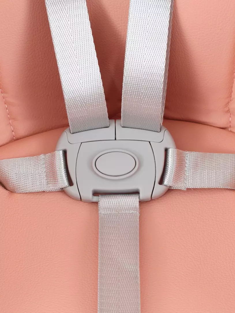 Стульчик для кормления Rant Basic Cookie Pink