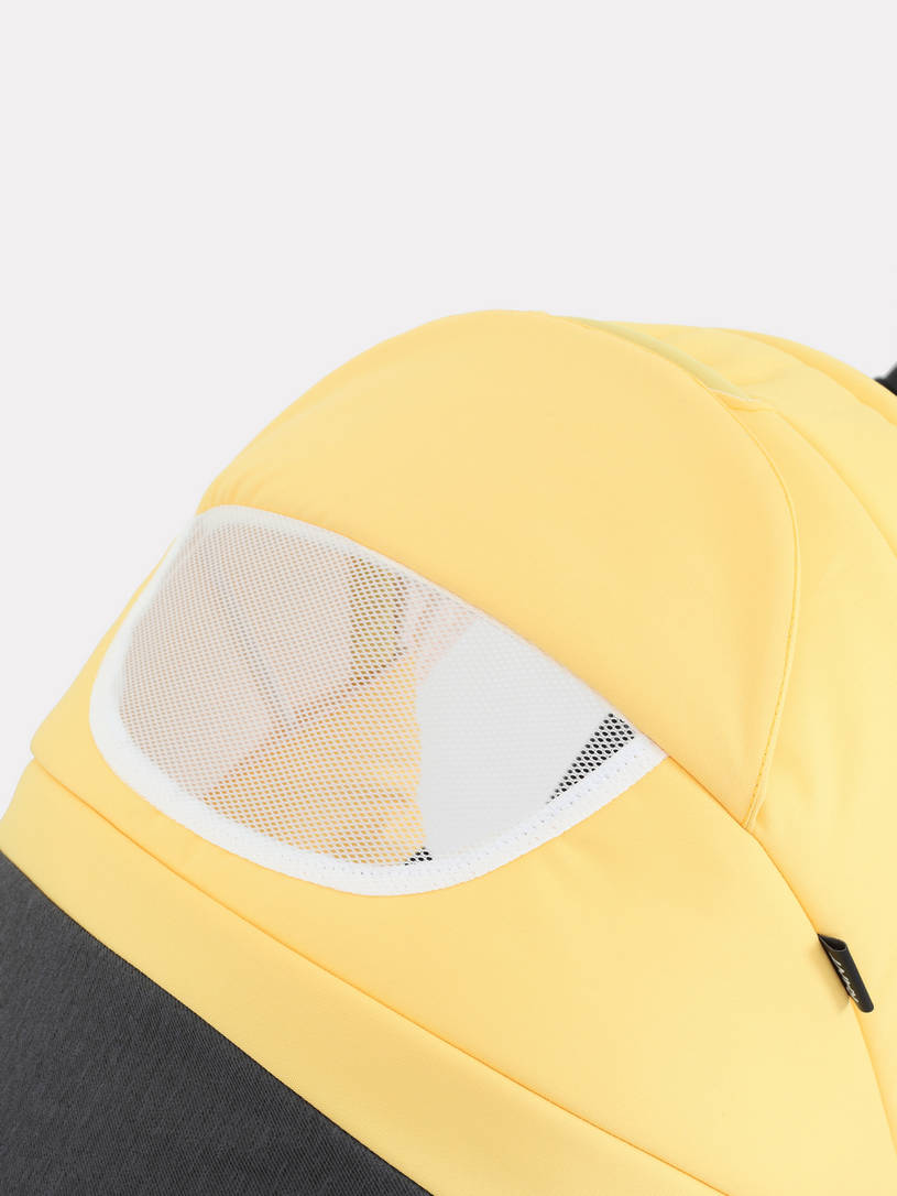 Коляска 2 в 1 Rant Siena 10 серый-желтый