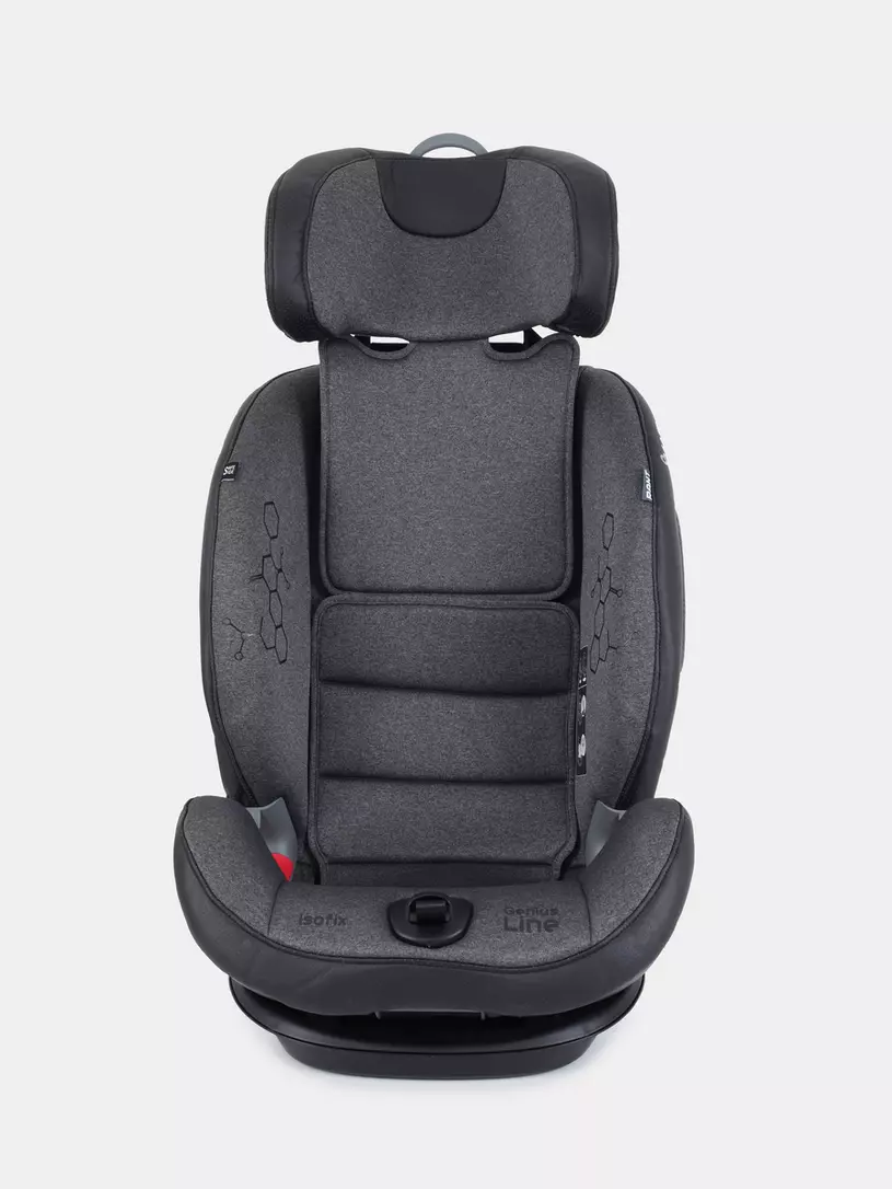 Автокресло Rant IQ isofix 1/2/3 (9-36 кг) Dark grey