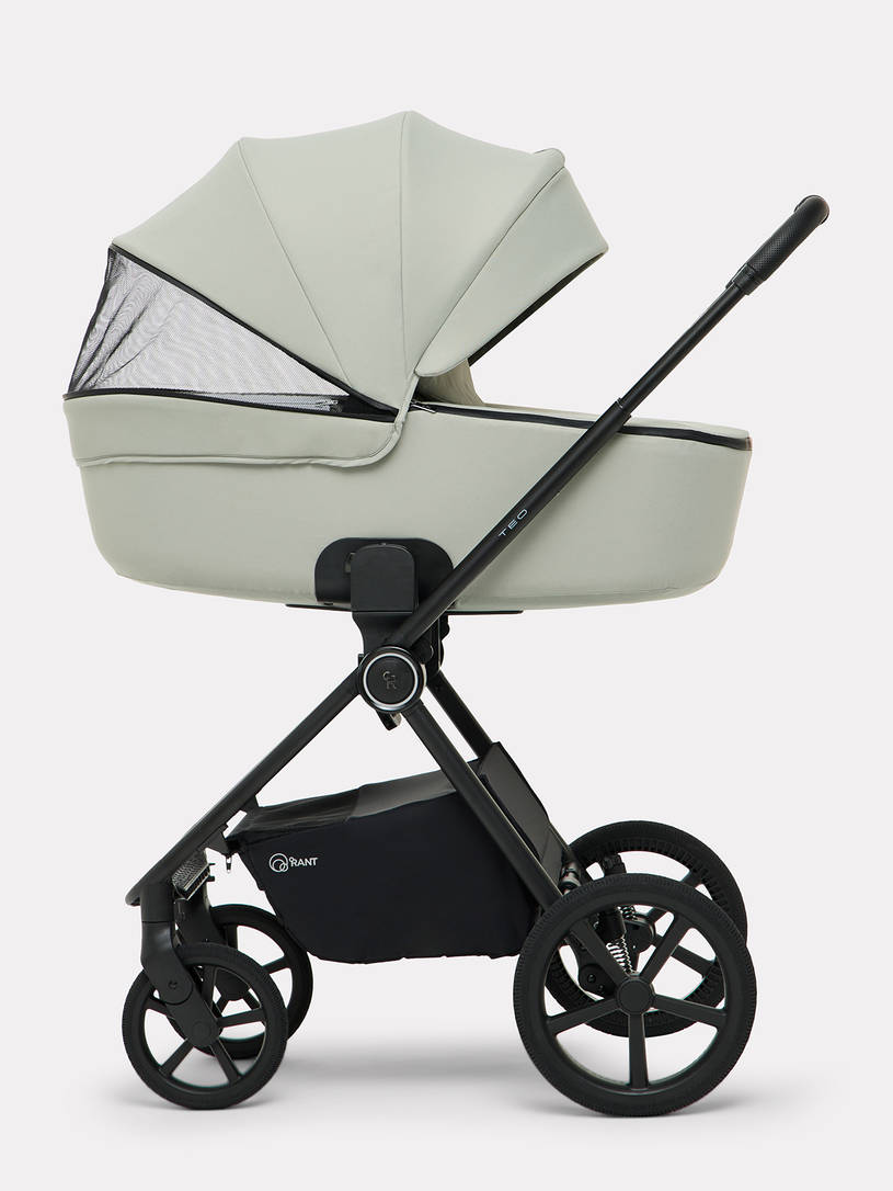 Коляска 2 в 1 Rant Teo Soft Sage