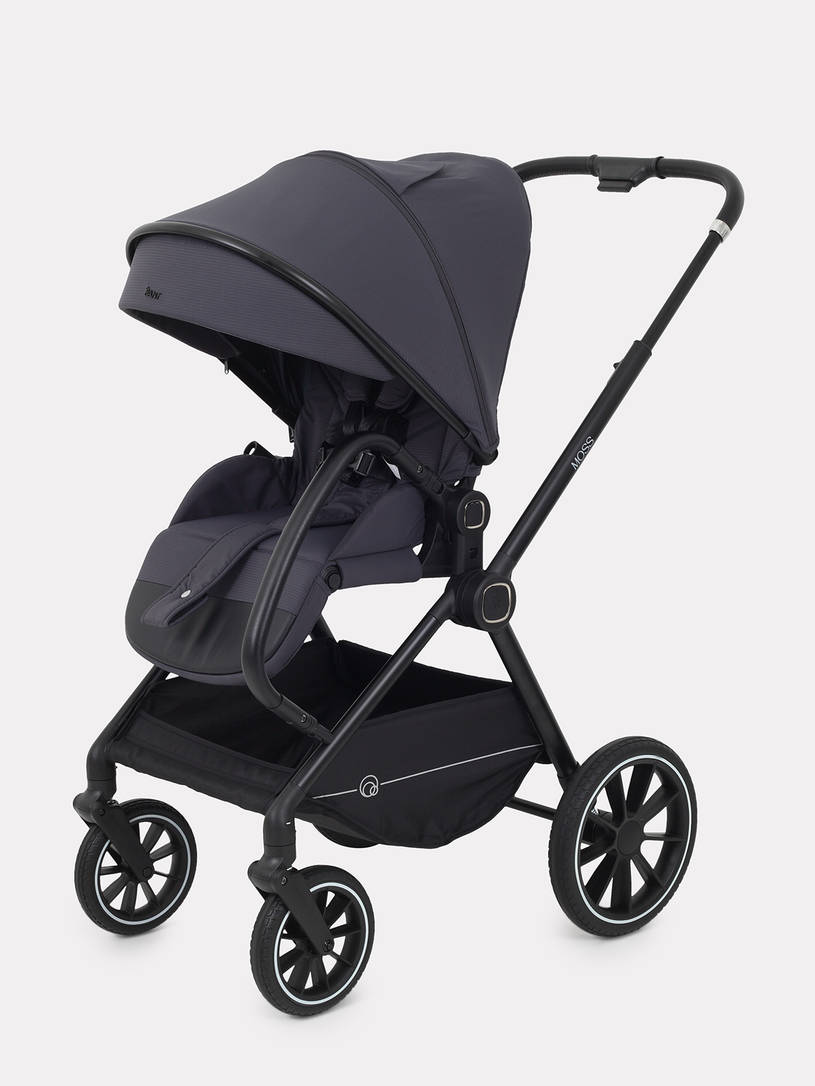 Коляска 2 в 1 Rant Moss 2025 Graphite