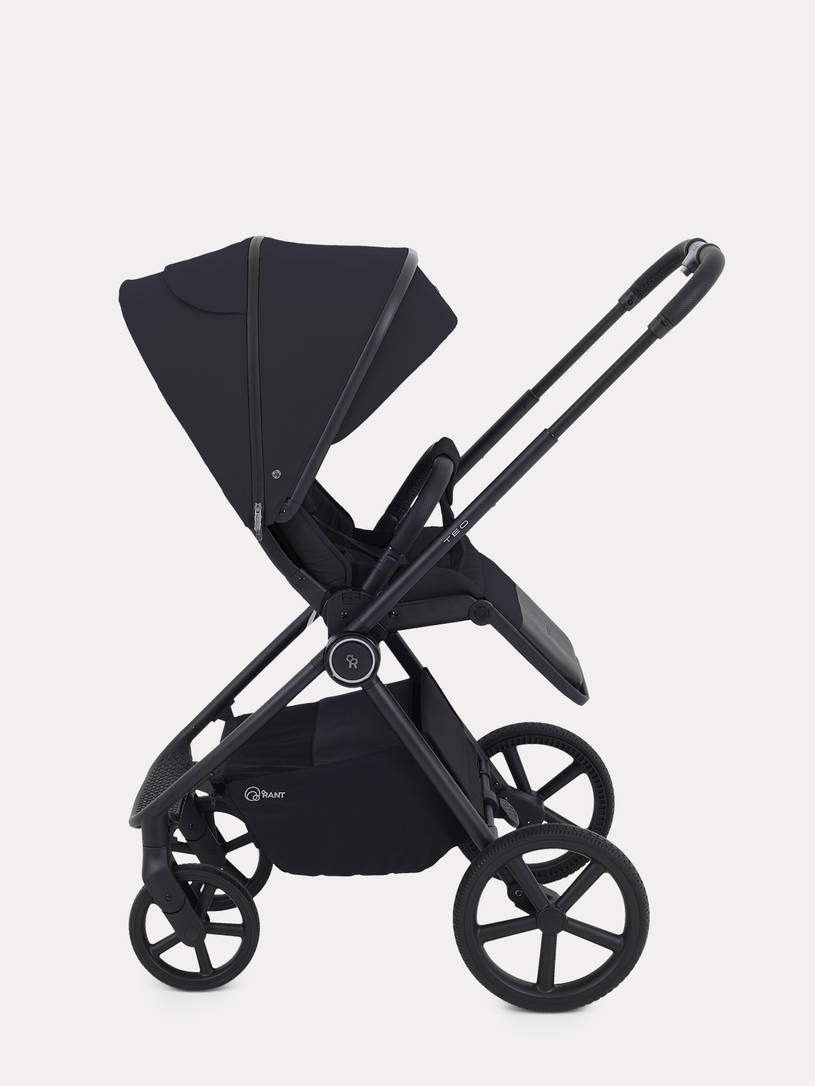 Коляска 2 в 1 Rant Teo Black