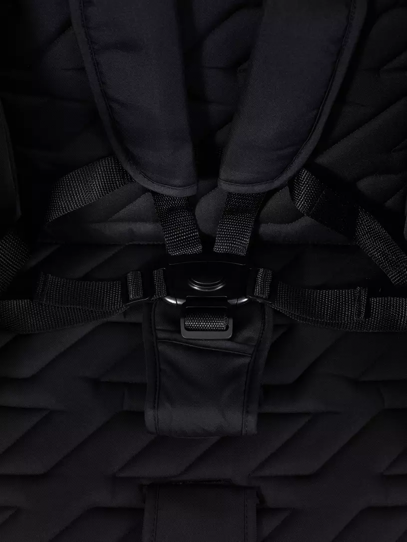 Коляска прогулочная Rant Basic Alpine 2026 Black