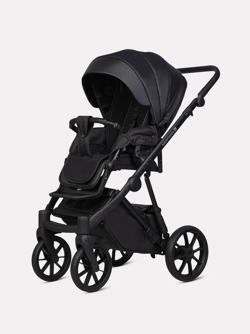 Коляска 3 в 1 Riko Basic Montana X Ecco 12 Black