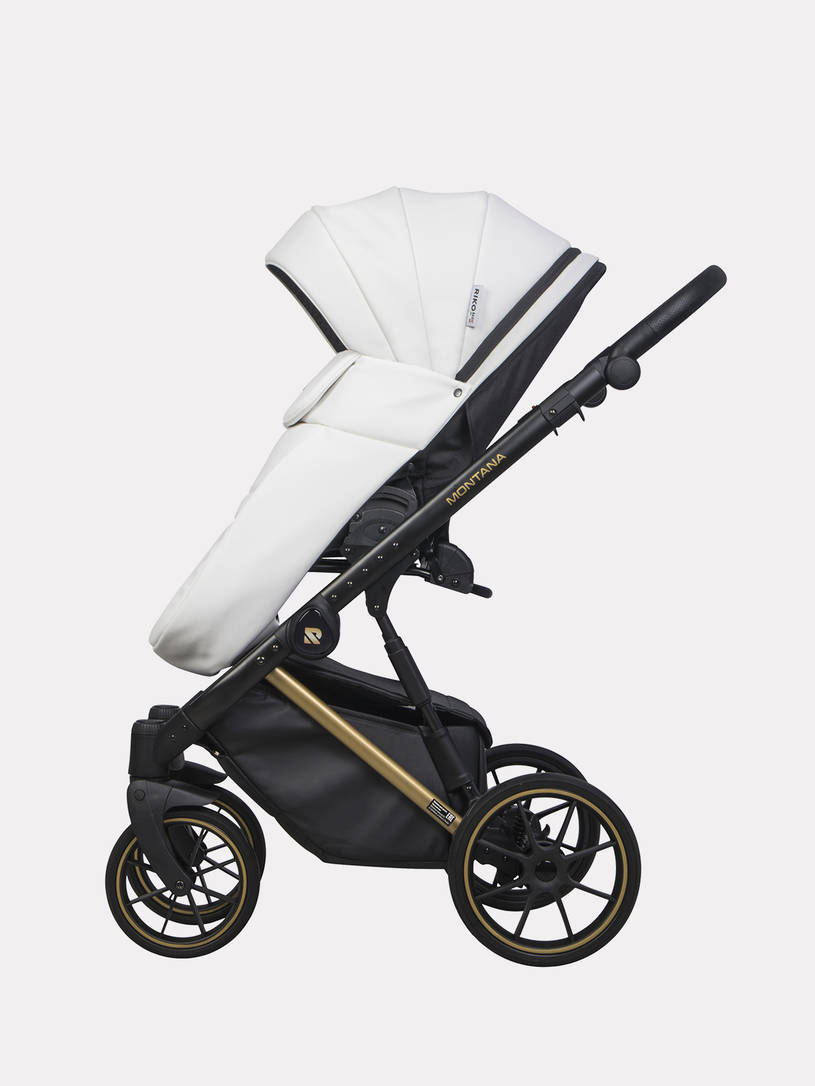 Коляска 2 в 1 Riko Basic Montana Premium Gold 01