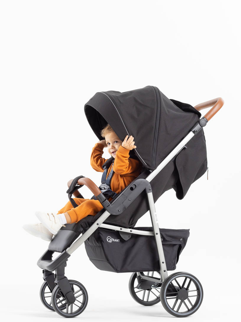 Коляска прогулочная Rant Vega 2023 Black