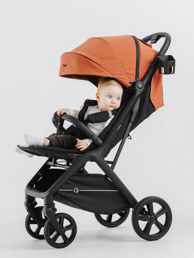 Коляска прогулочная Rant Lumos Maroon brown