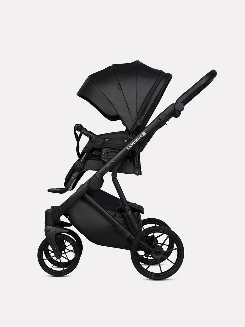 Коляска 3 в 1 Riko Basic Montana X Ecco 12 Black