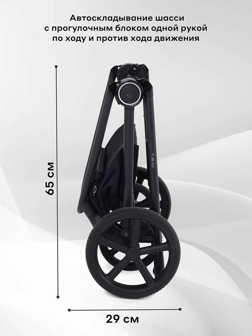 Коляска 2 в 1 Rant Teo Graphite