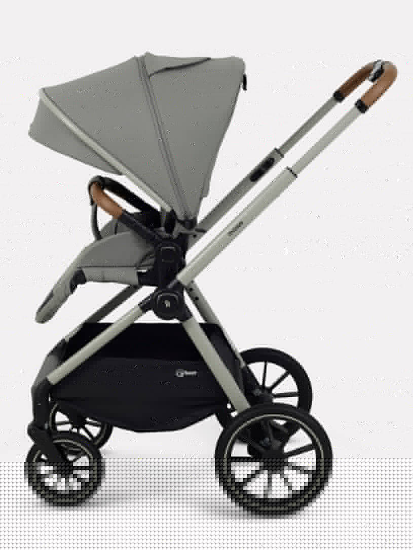 Коляска 2 в 1 Rant Moss Prime Grey
