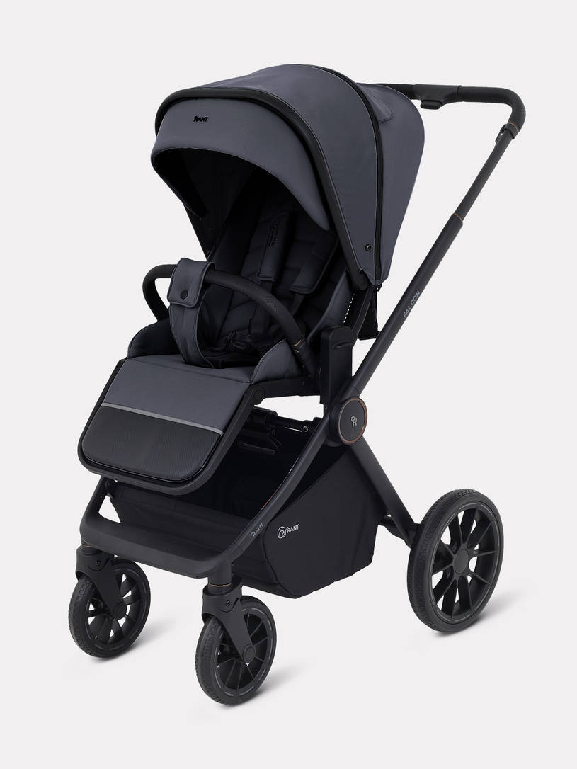 Коляска 2 в 1 Rant Falcon Neo Graphite