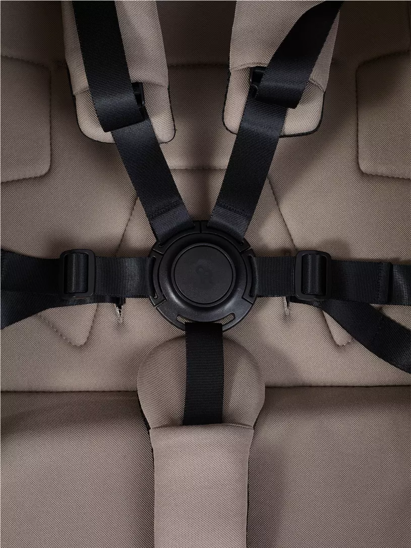 Коляска прогулочная Rant Avion Сarbon Cacao