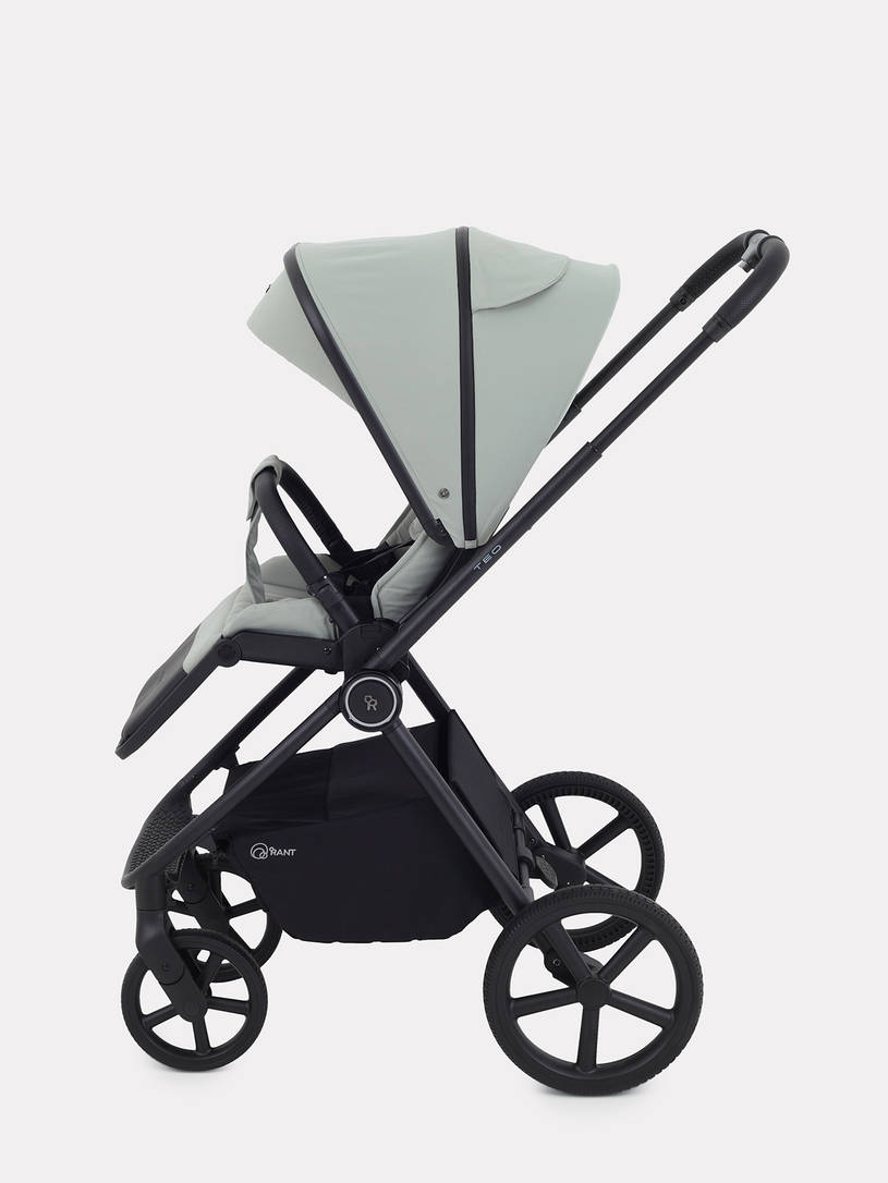 Коляска 2 в 1 Rant Teo Sage