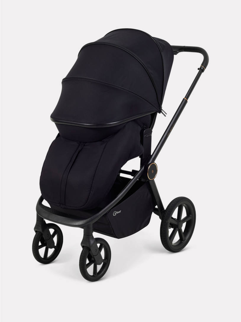 Коляска 2 в 1 Rant Flex Soft Therm Gold black