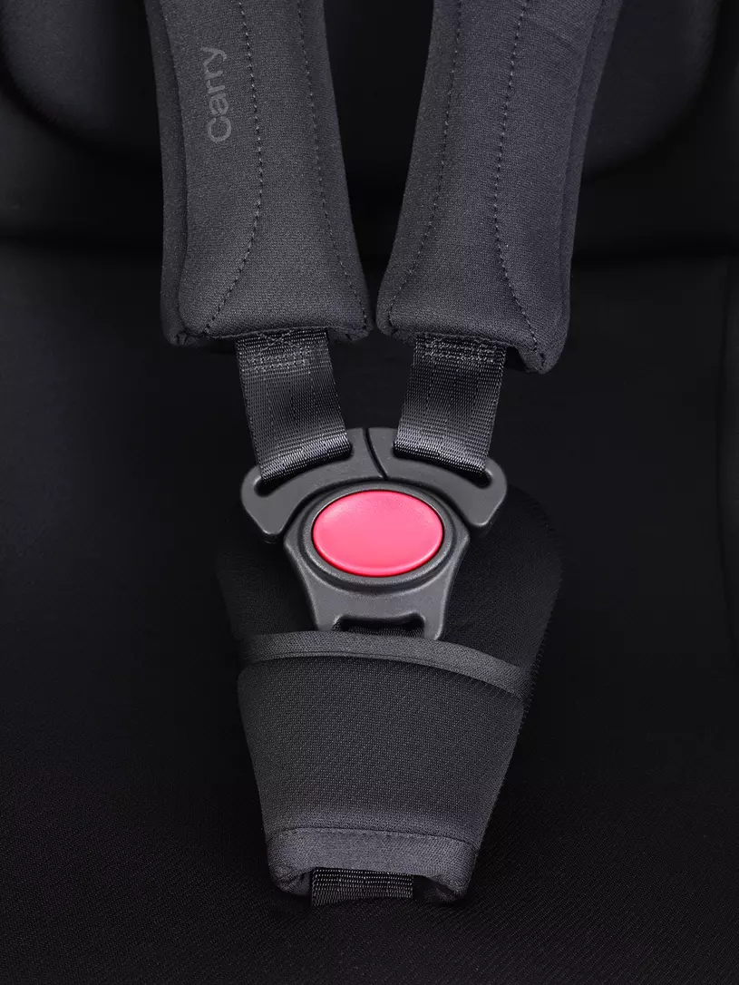 Автокресло Rant Carry Pro (40-87 см) Black