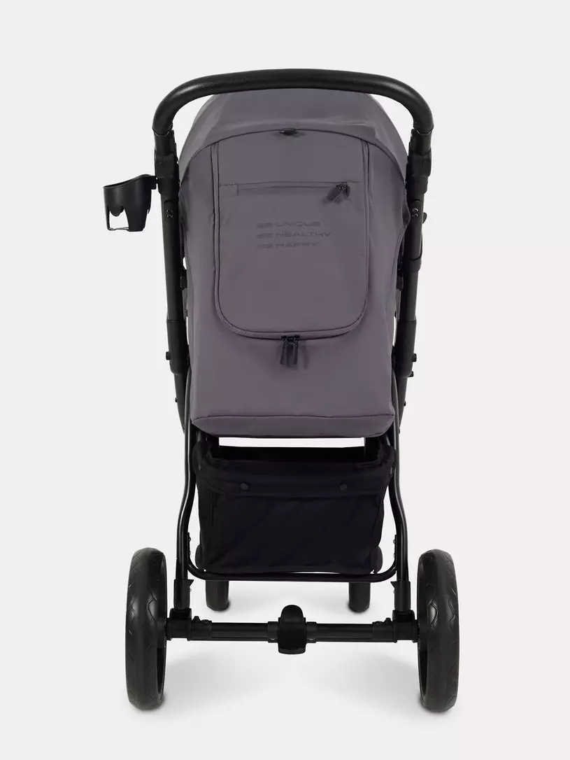 Коляска прогулочная Rant Basic Alpine 2026 Dark grey