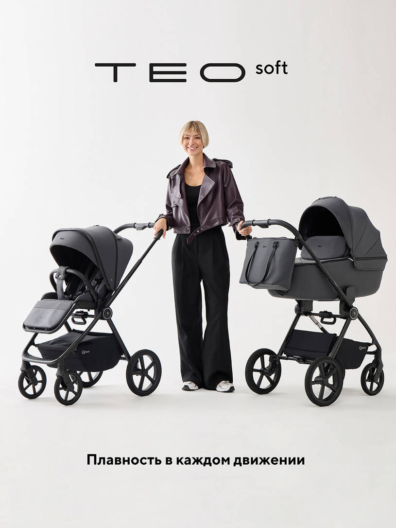 Коляска 2 в 1 Rant Teo Soft Graphite
