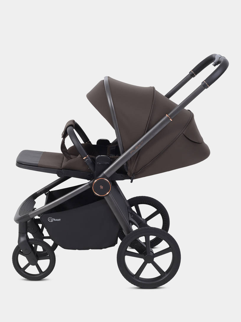 Коляска прогулочная Rant Flex Color Shine brown