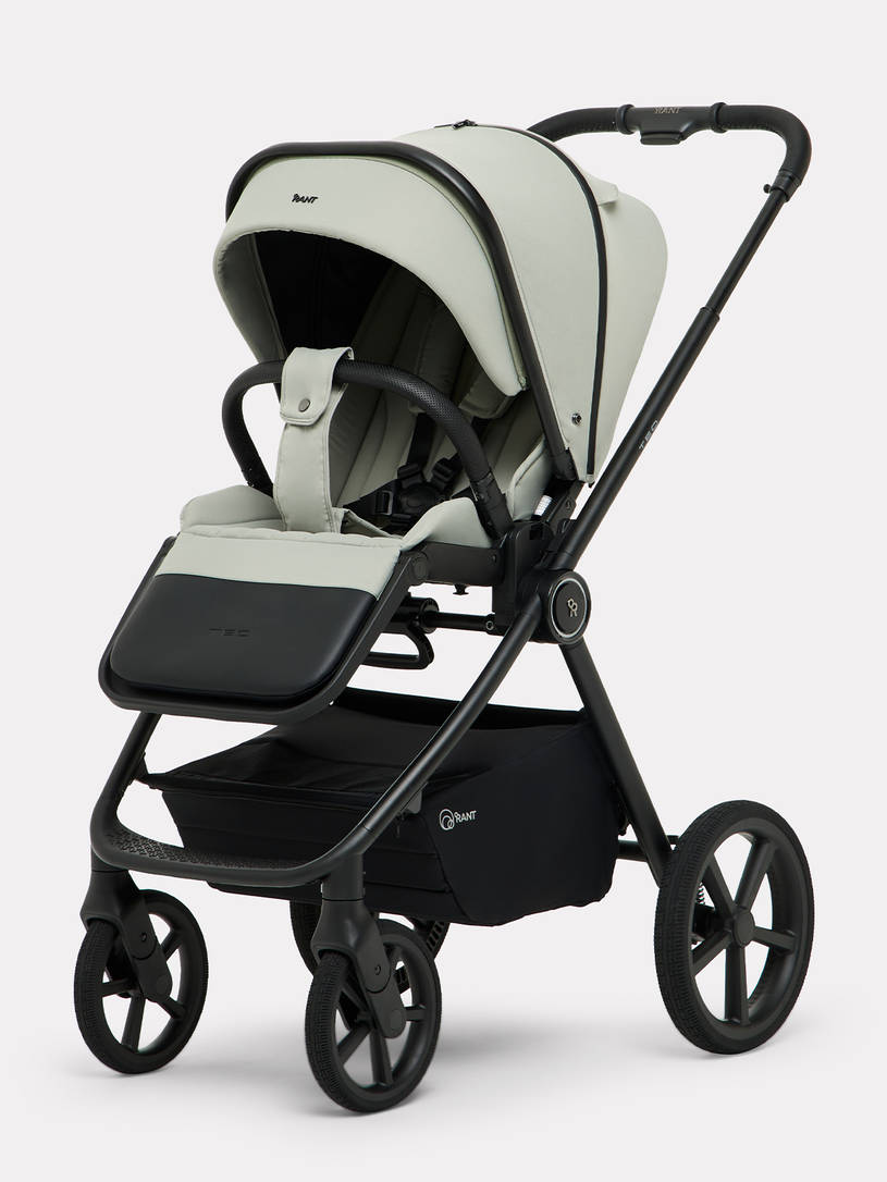 Коляска 2 в 1 Rant Teo Soft Sage