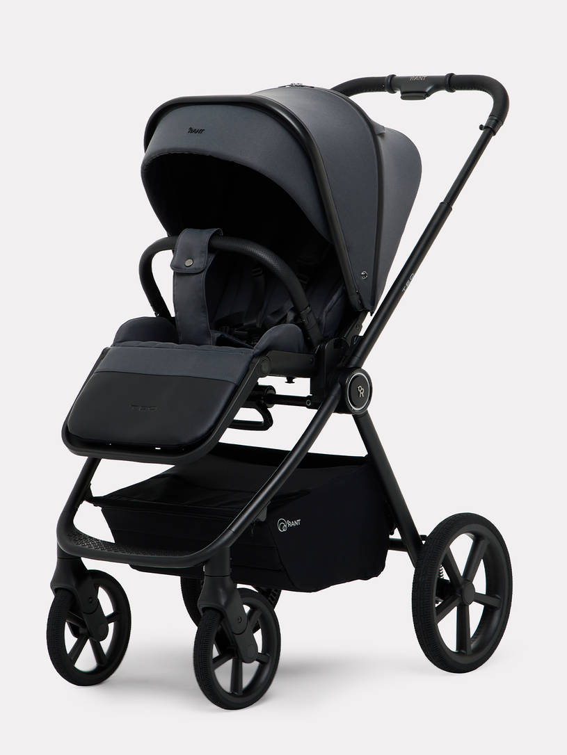 Коляска 2 в 1 Rant Teo Soft Graphite